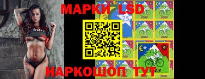 ПСИЛОЦИБИНОВЫЕ ГРИБЫ Ачхой-Мартан