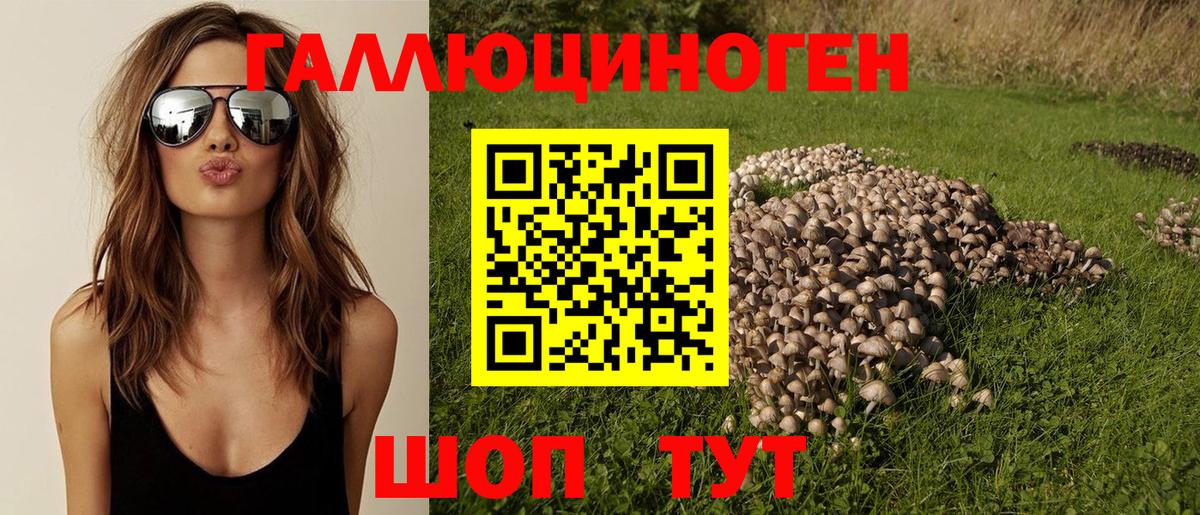 Малгобек  Галлюциногенные грибы мицелий  Вход с VPN 